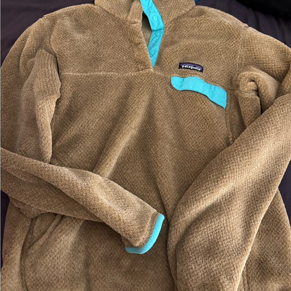 Patagonia Tan Fleece with Teal Accents